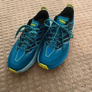 Hoka Speed Goat 4